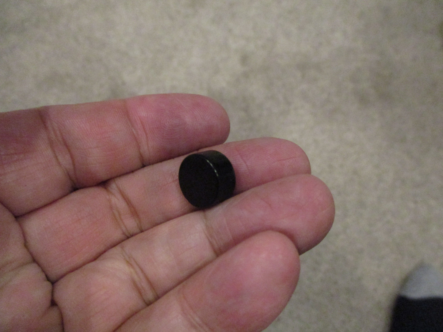 Black Epoxy Neodymium Rare Earth Magnet 1/2" x 1/4" Grade N52